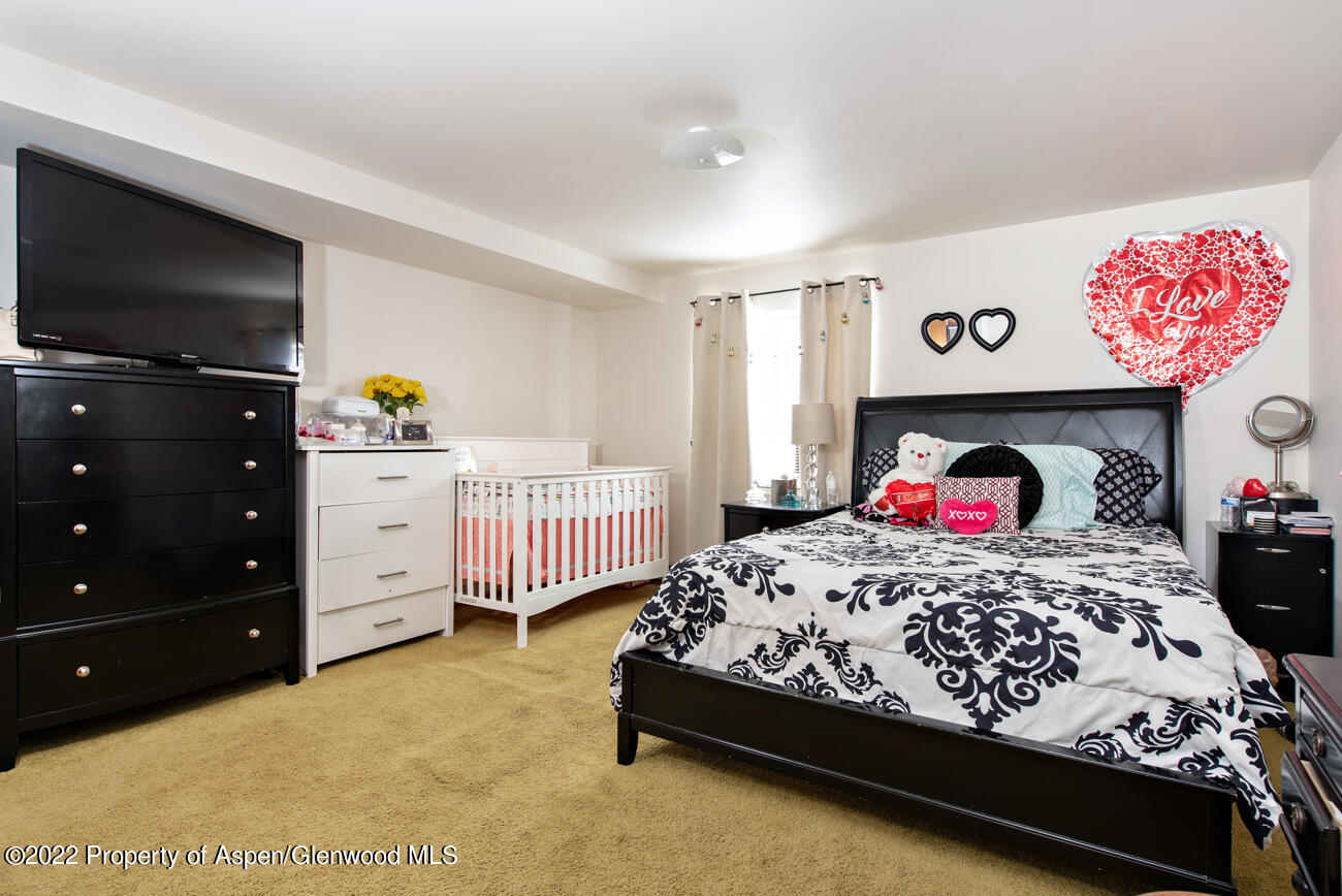 318 Badger Road Carbondale, CO 81623 - Photo 29 of 38 318BadgerRd_034