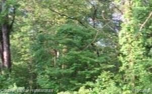 0 Five Lks Rd Branch North Branch, MI 48461 - Photo 1 of 3
