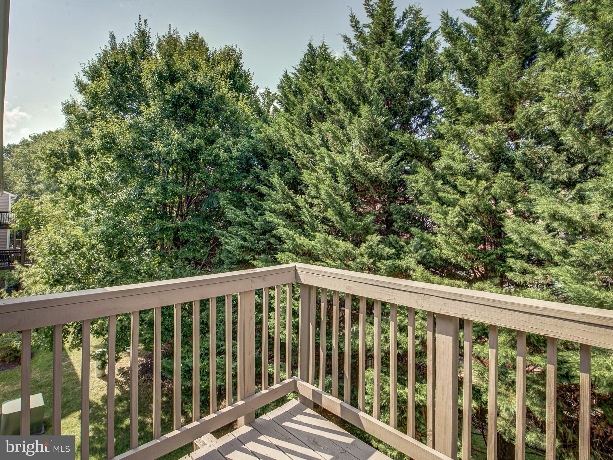 7702 Lexton Place, Unit E Springfield, VA 22152 - Photo 41 of 44