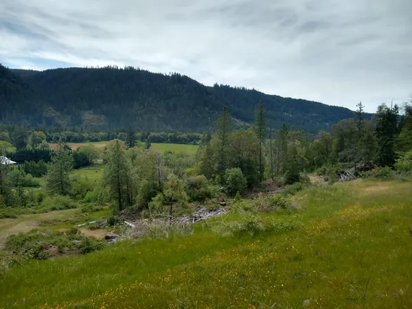 a view of a lush green hillside and a building