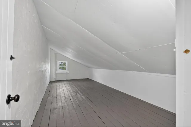 a view of a backyard with a large tree