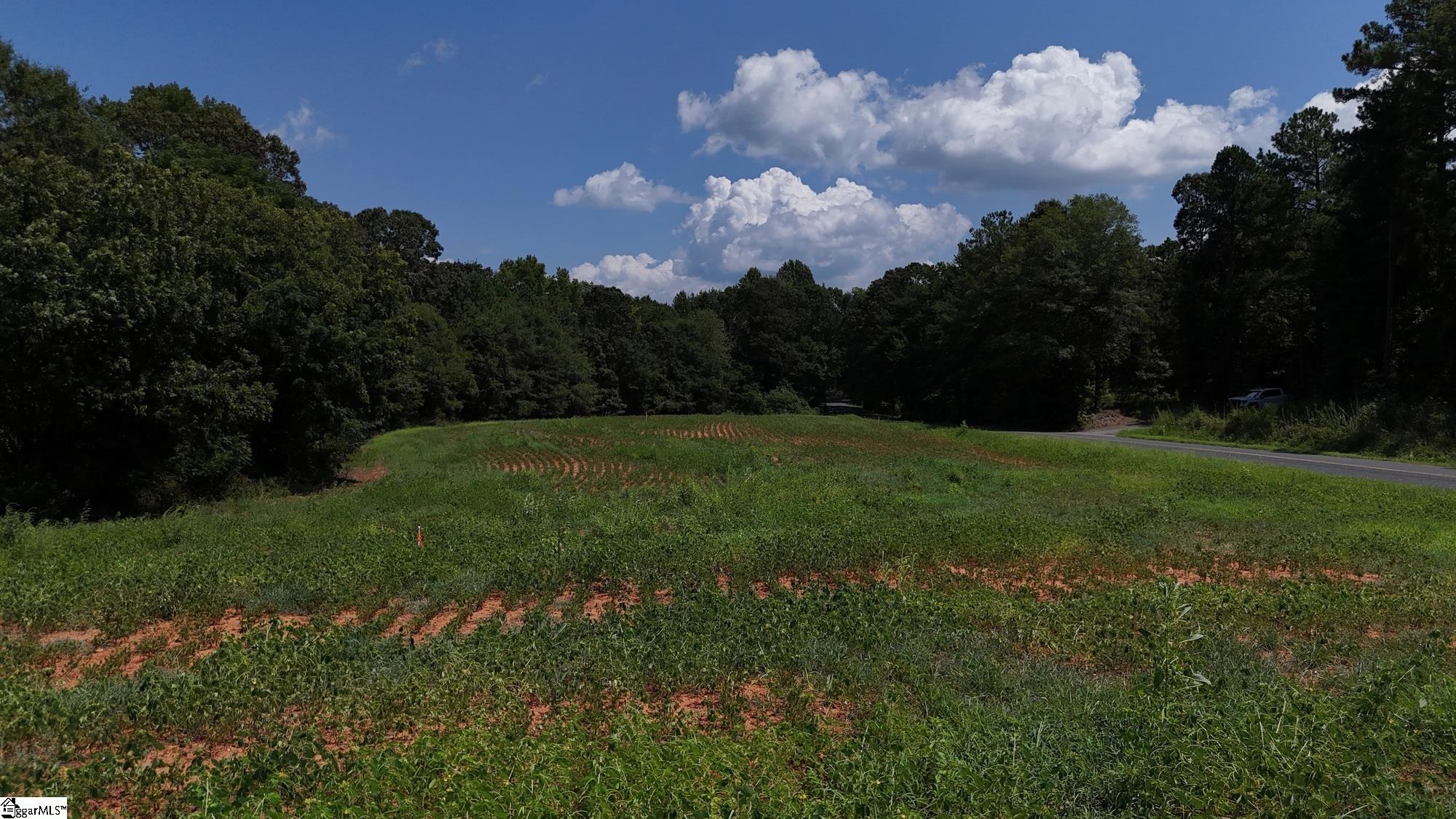 4 Fred Dobbins Road Townville, SC 29689 - Photo 20 of 25 Gallery Image 20
