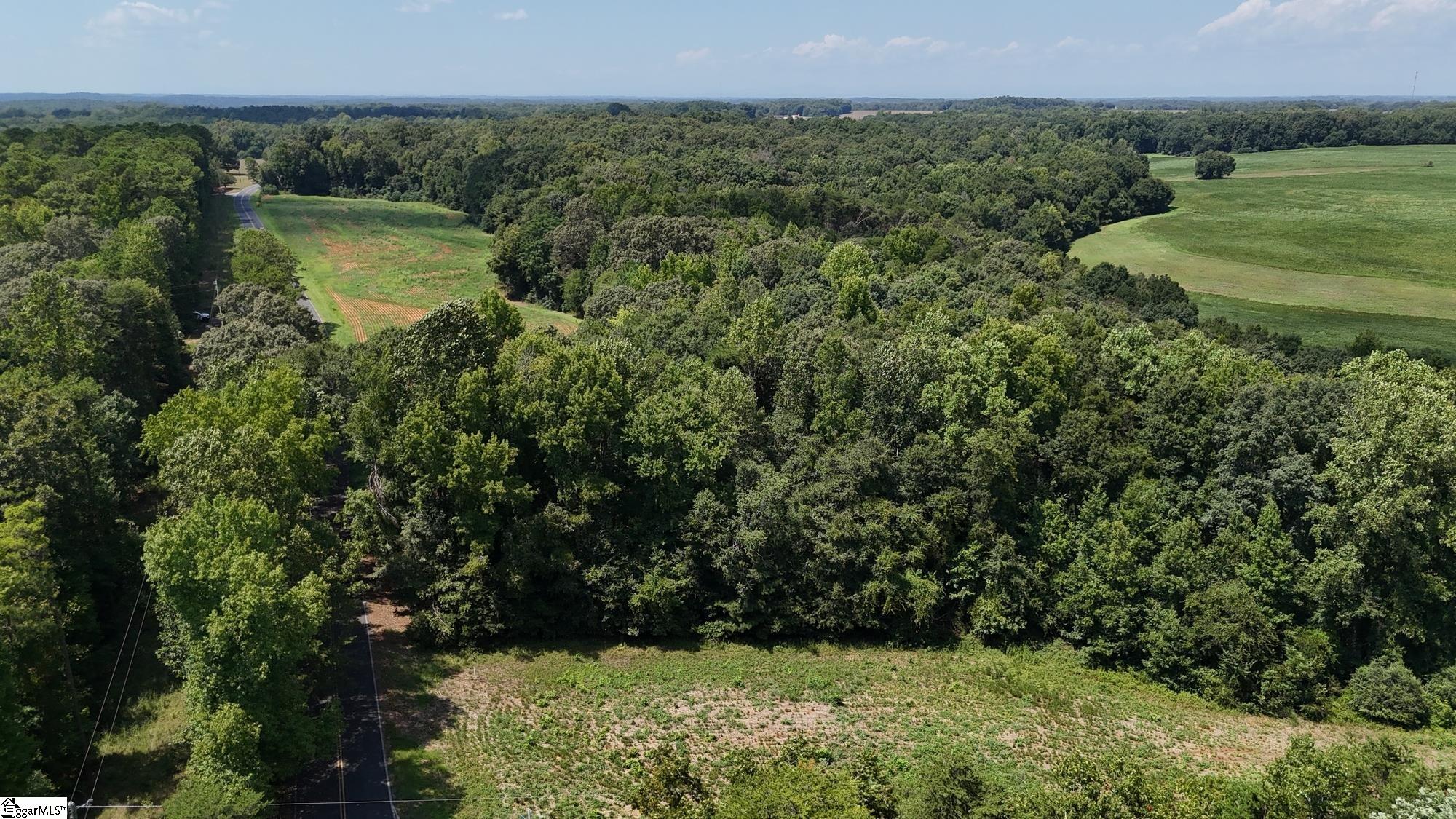 4 Fred Dobbins Road Townville, SC 29689 - Photo 21 of 25 Gallery Image 21