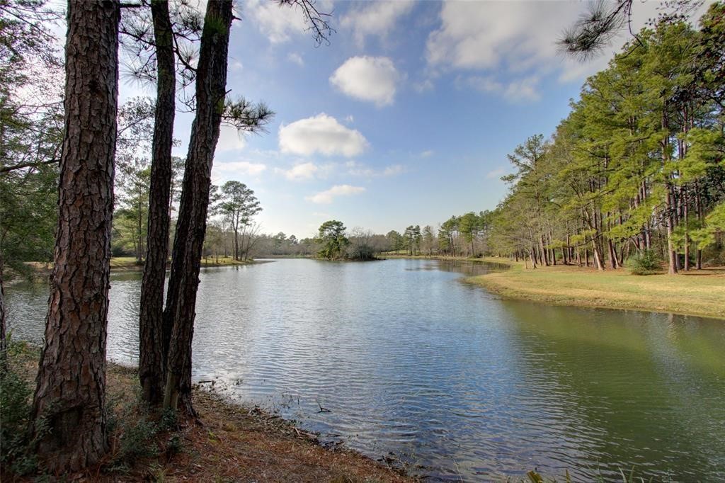 1602 Eden Meadows Drive Spring, TX 77386 - Photo 21 of 25 a view of lake