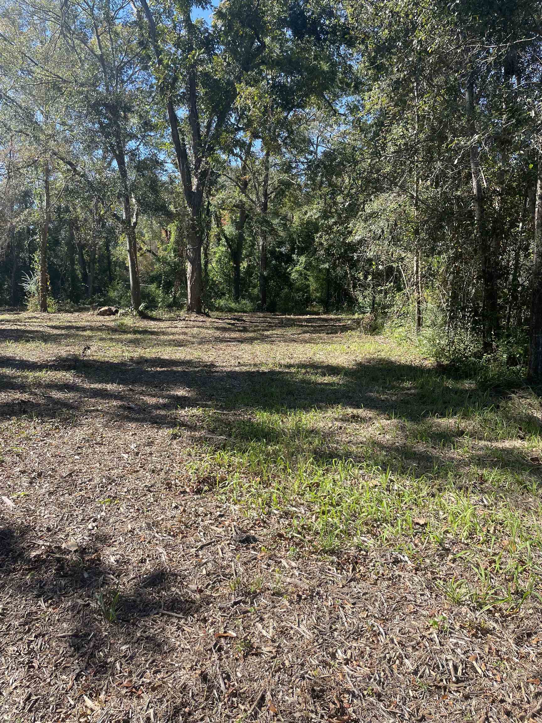 809 Main Street Daphne, AL 36526 - Photo 1 of 1