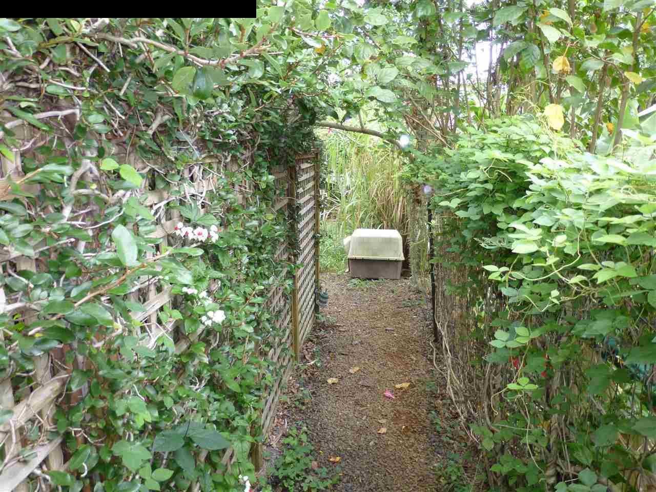 1765 Haiku Road Haiku, HI 96708 - Photo 21 of 25 a backyard of a house with outdoor seating and green space