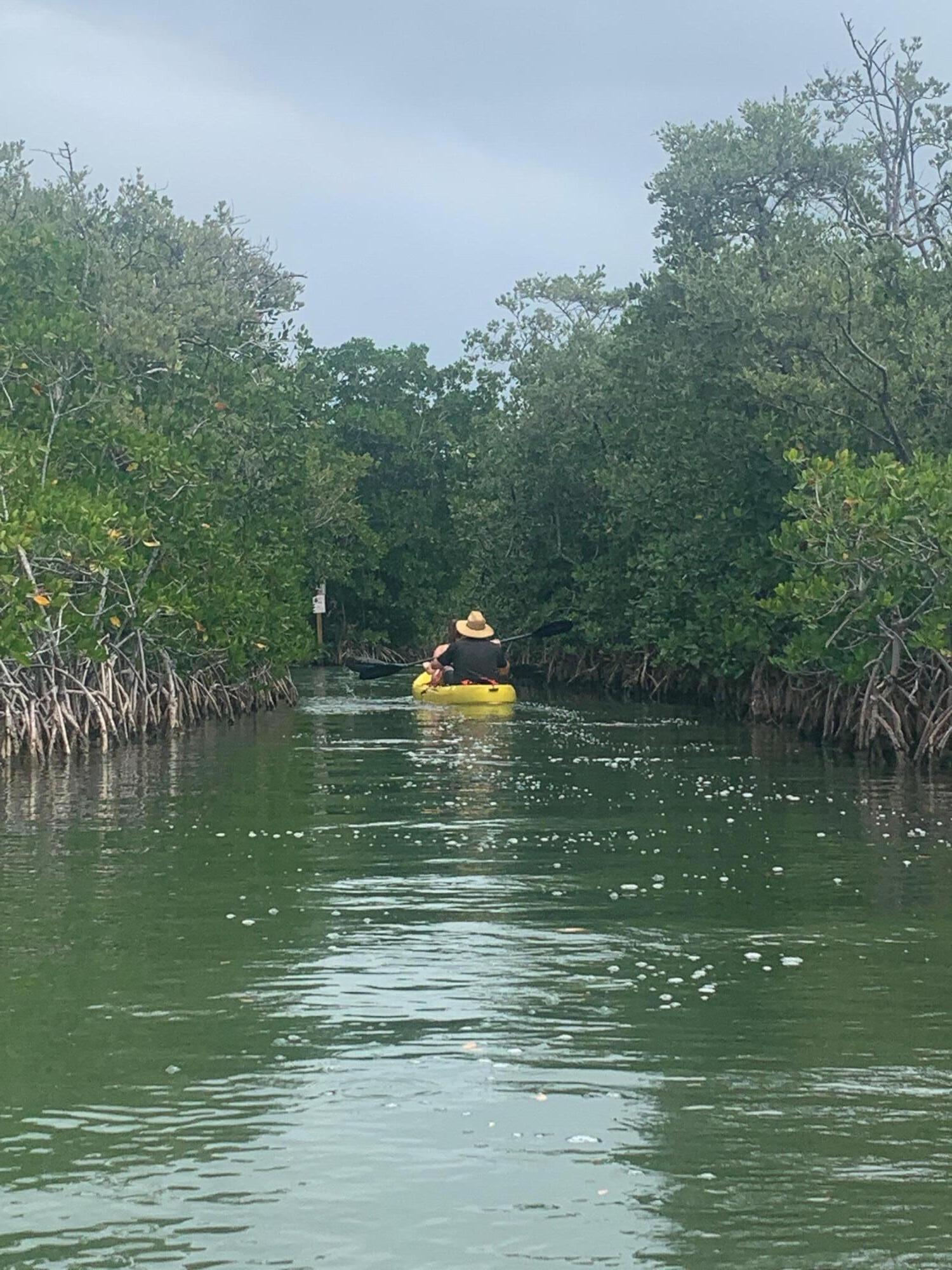 81 Jean La Fitte Drive Key Largo, FL 33037 - Photo 40 of 61 Channel out to bay from lake