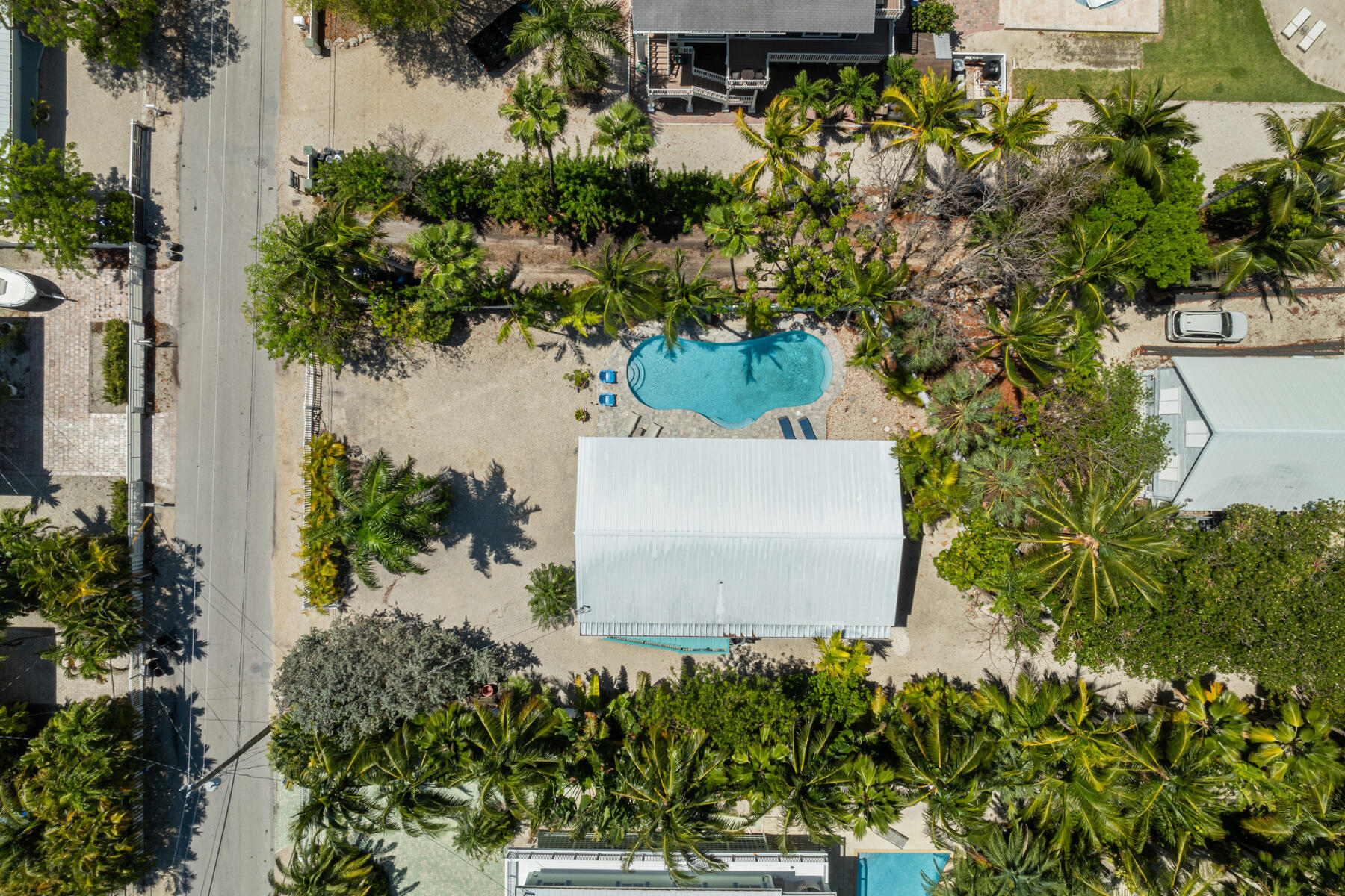 81 Jean La Fitte Drive Key Largo, FL 33037 - Photo 44 of 61 Privacy landscaping