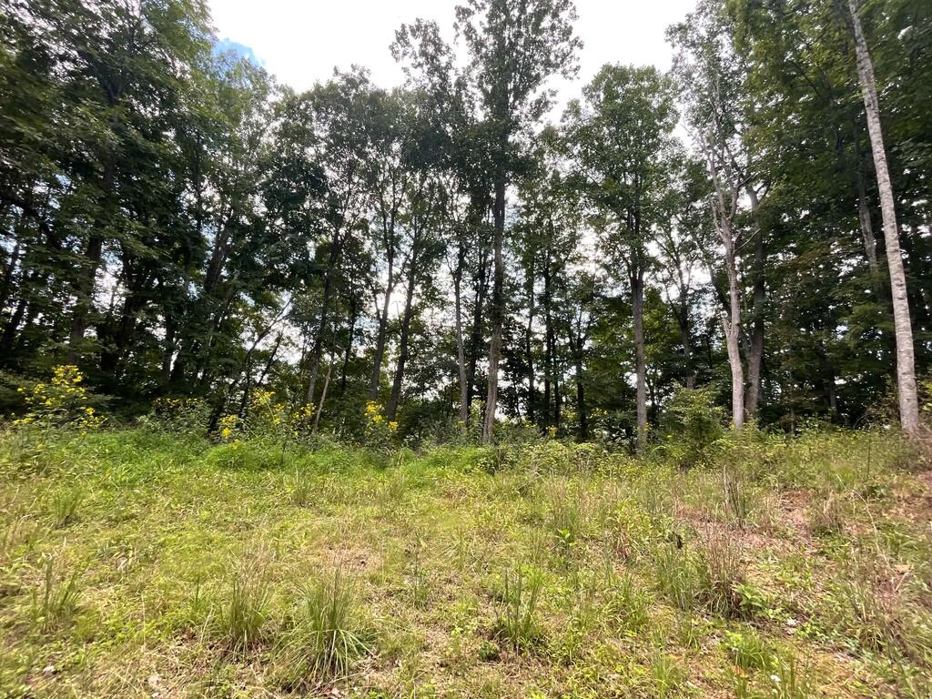 393 Kanawha Ridge Road Dugspur, VA 24325 - Photo 27 of 29 Gallery Image 27