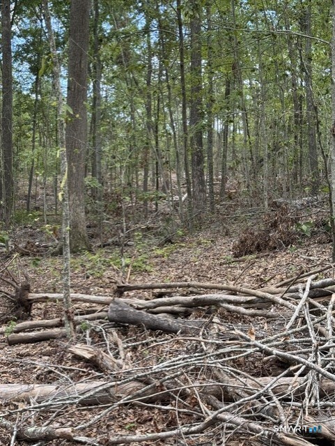 0 Cold Spring Road East Haddam, CT 06423 - Photo 20 of 22 Cleared and thinned wooded areas.