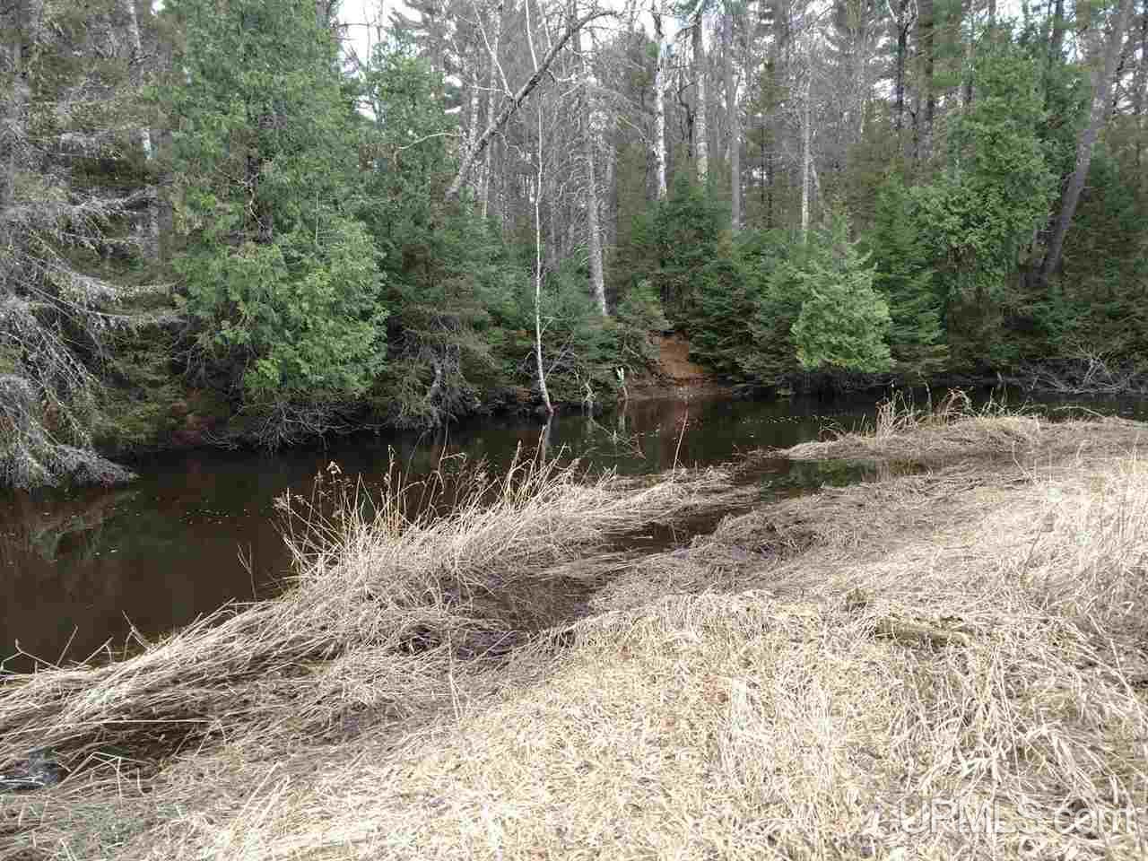 W1400 Co Road Gwinn, MI 49841 - Photo 22 of 22