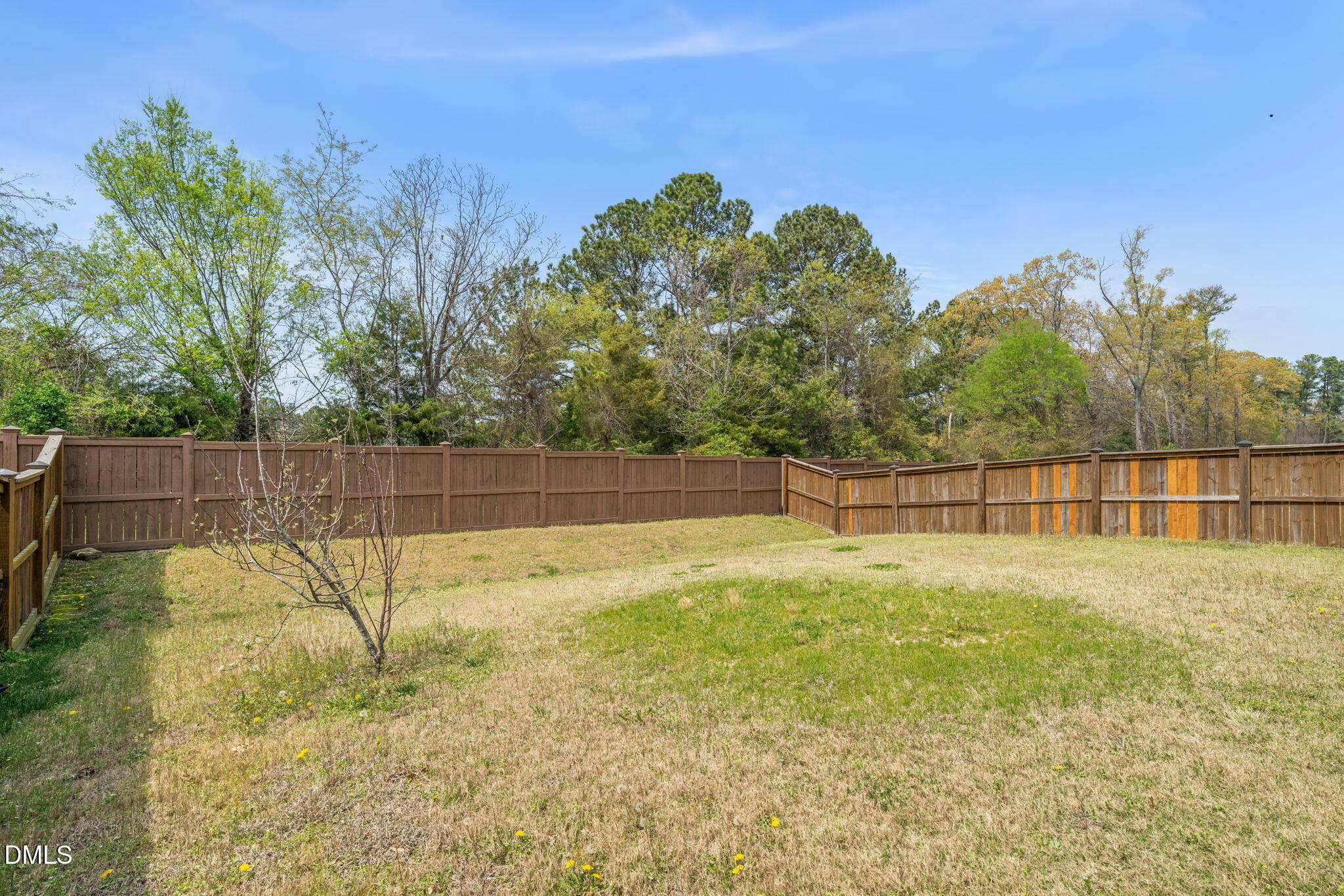 3568 Althorp Drive Raleigh, NC 27616 - Photo 53 of 74 backyard (1)