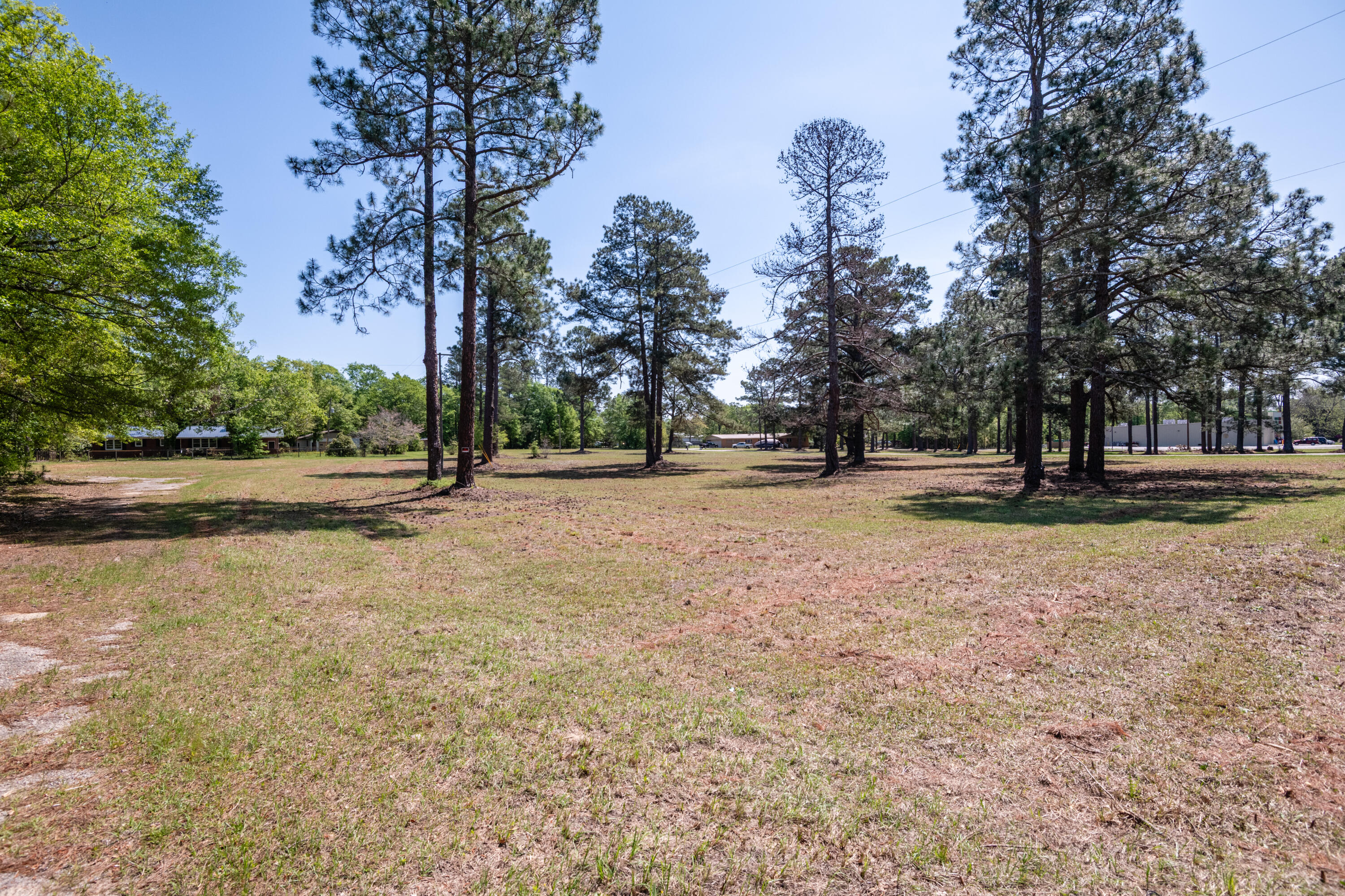 39 Gantt Street Wagener, SC 29164 - Photo 27 of 30 a view of road with trees