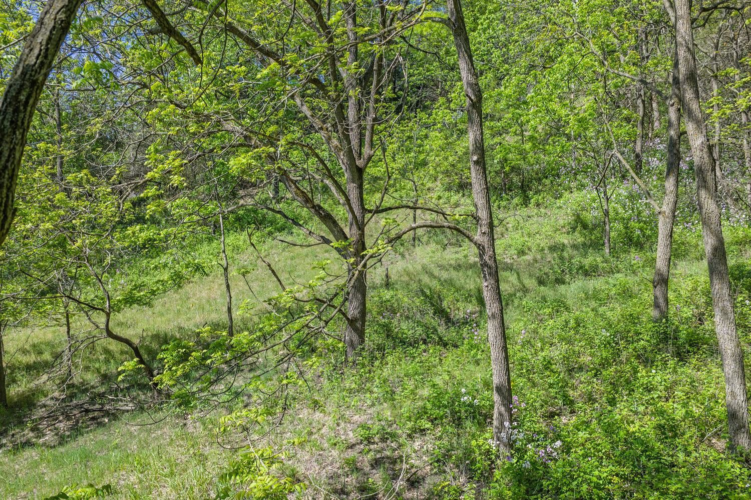 N2301 Cactus Acres Lodi, WI 53555 - Photo 16 of 17