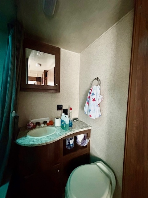 25-126 Woodhaven Sublette, IL 61367 - Photo 17 of 17 a bathroom with a toilet a sink and mirror