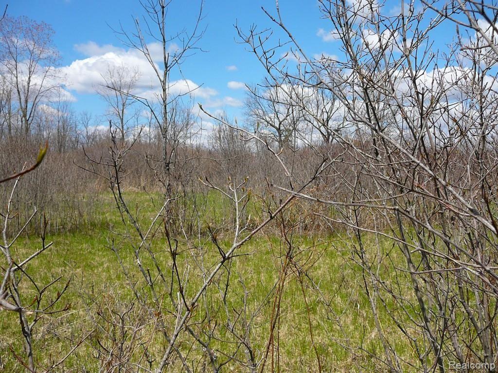 0 Brimley Road West Webberville, MI 48892 - Photo 27 of 36 2015-04-26 12.13