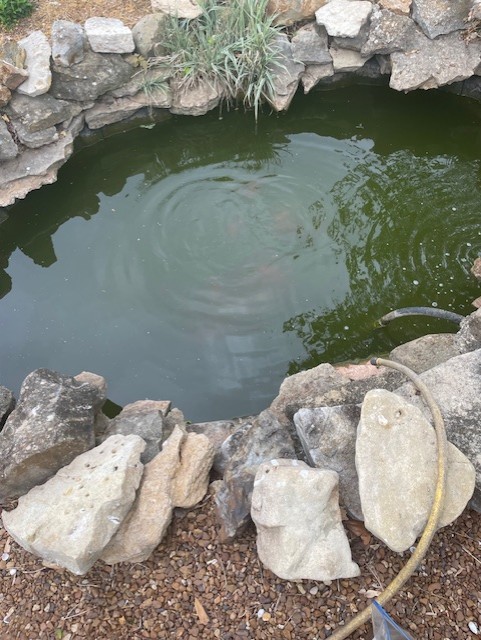 108 Bud Taylor Road Ethridge, TN 38456 - Photo 11 of 28