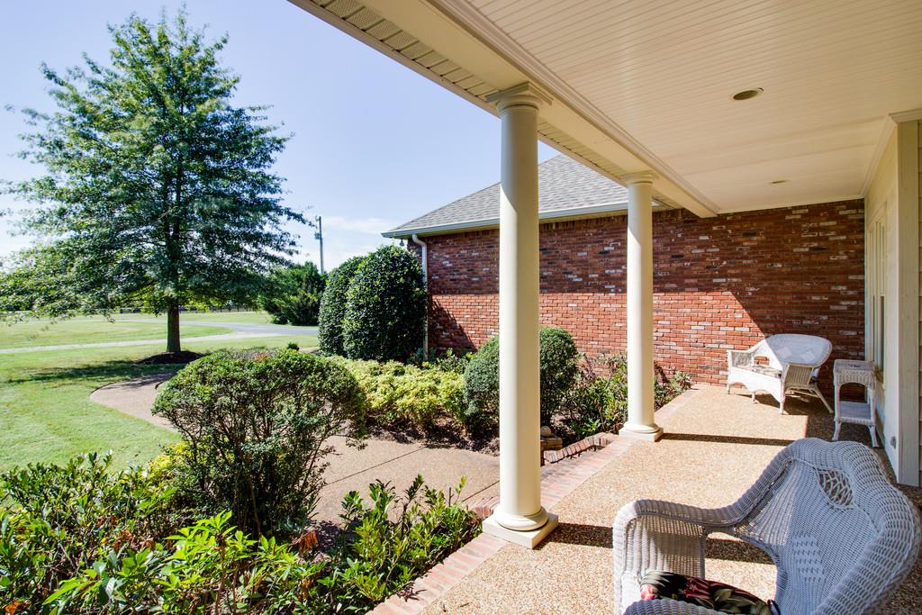 4670 Murfreesboro Road Franklin, TN 37067 - Photo 5 of 30 a view of backyard with large tree and plants