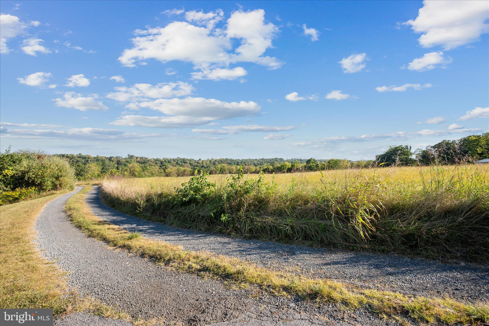 Ridge Hollow Road Edinburg, VA 22824 - Photo 2 of 17 Lot Landscape
