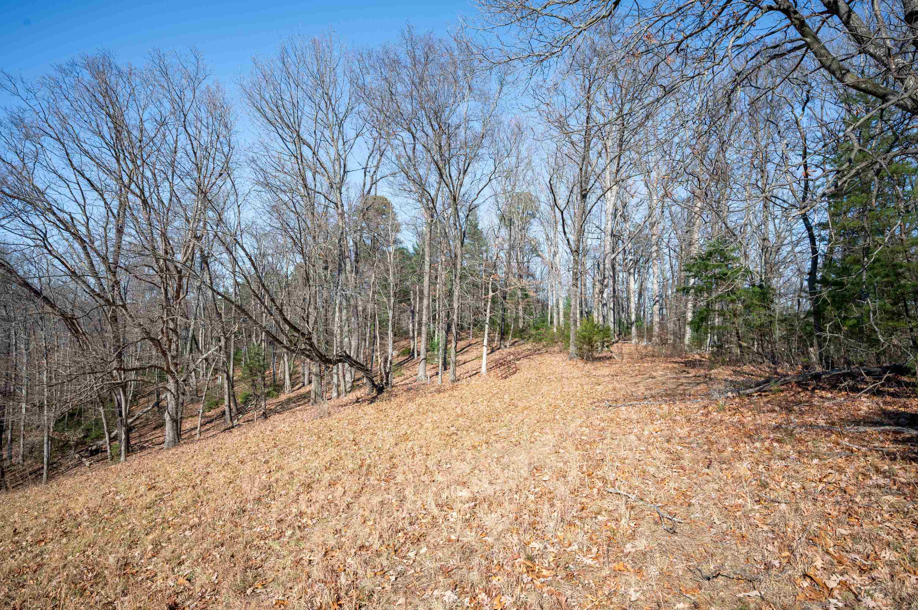800 Runnett Bag Road Ferrum, VA 24088 - Photo 40 of 76 Gallery Image 40