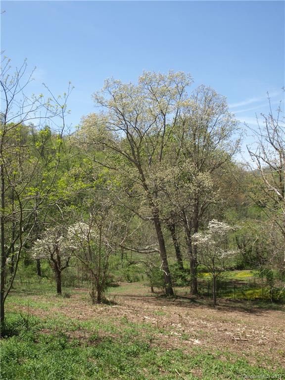 0 Evans Road Canton, NC 28716 - Photo 2 of 12 a view of a yard with trees