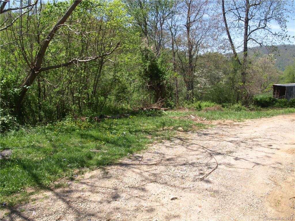 0 Evans Road Canton, NC 28716 - Photo 12 of 12 a pathway of a yard