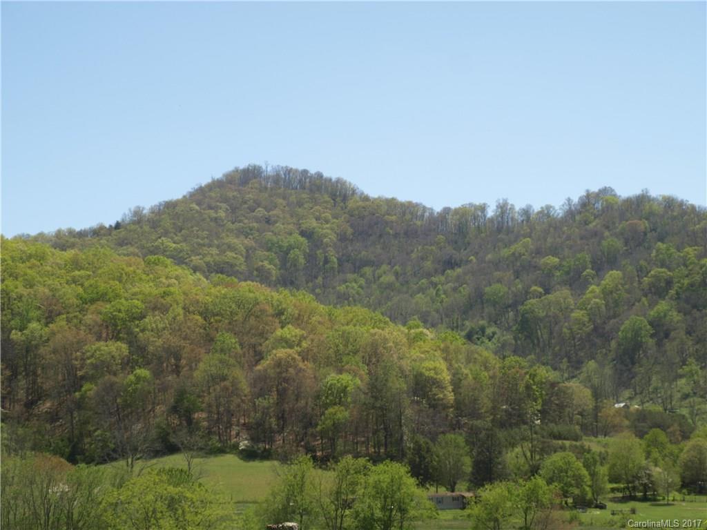 0 Evans Road Canton, NC 28716 - Photo 3 of 12 a view of a yard