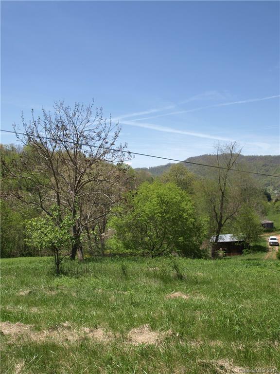 0 Evans Road Canton, NC 28716 - Photo 5 of 12 a view of a field with an trees