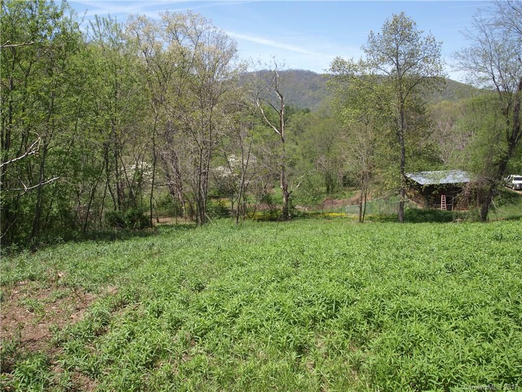 0 Evans Road Canton, NC 28716 - Photo 6 of 12 a view of a green field with lots of bushes