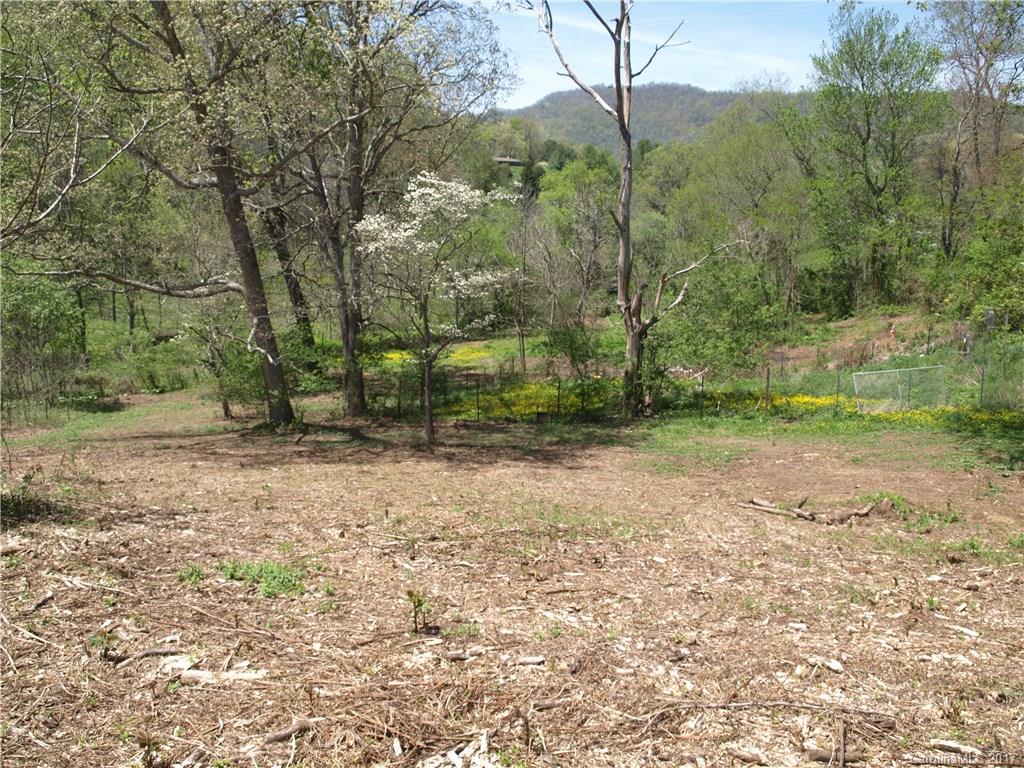 0 Evans Road Canton, NC 28716 - Photo 7 of 12 a view of a yard with trees