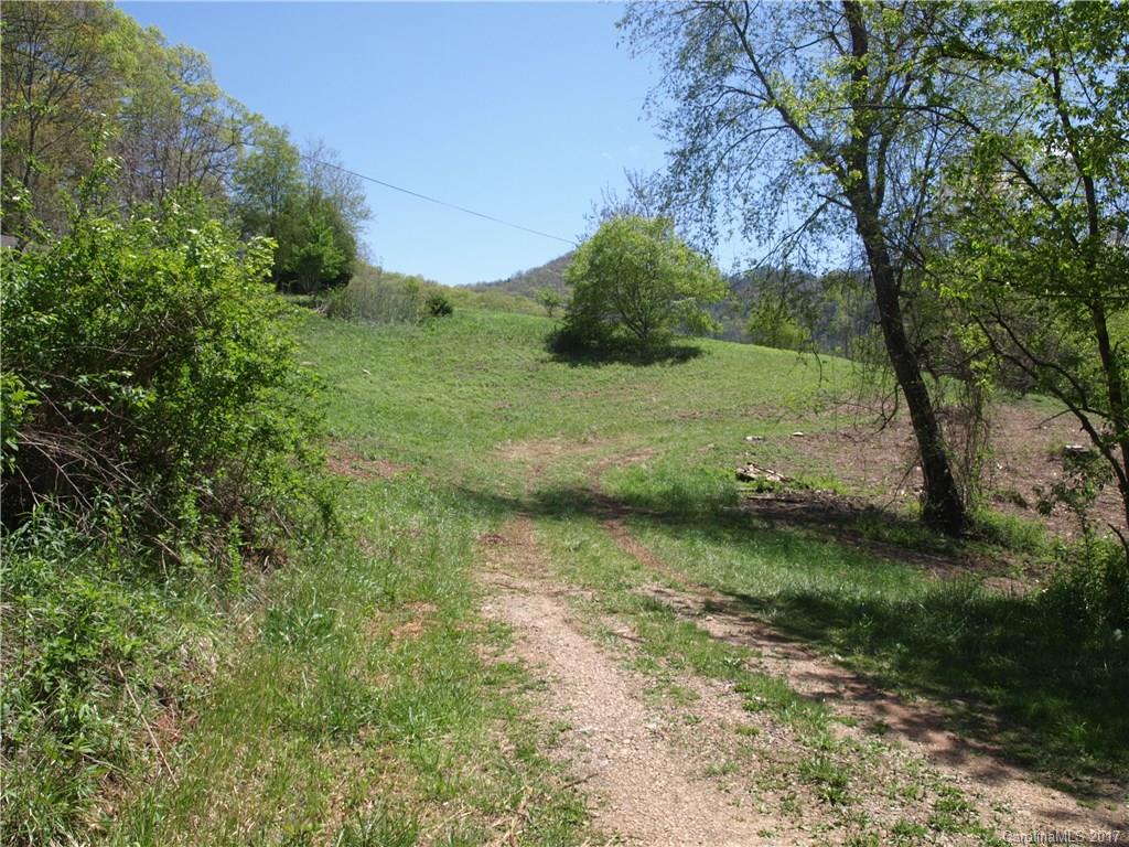 0 Evans Road Canton, NC 28716 - Photo 9 of 12 a view of a lush green space