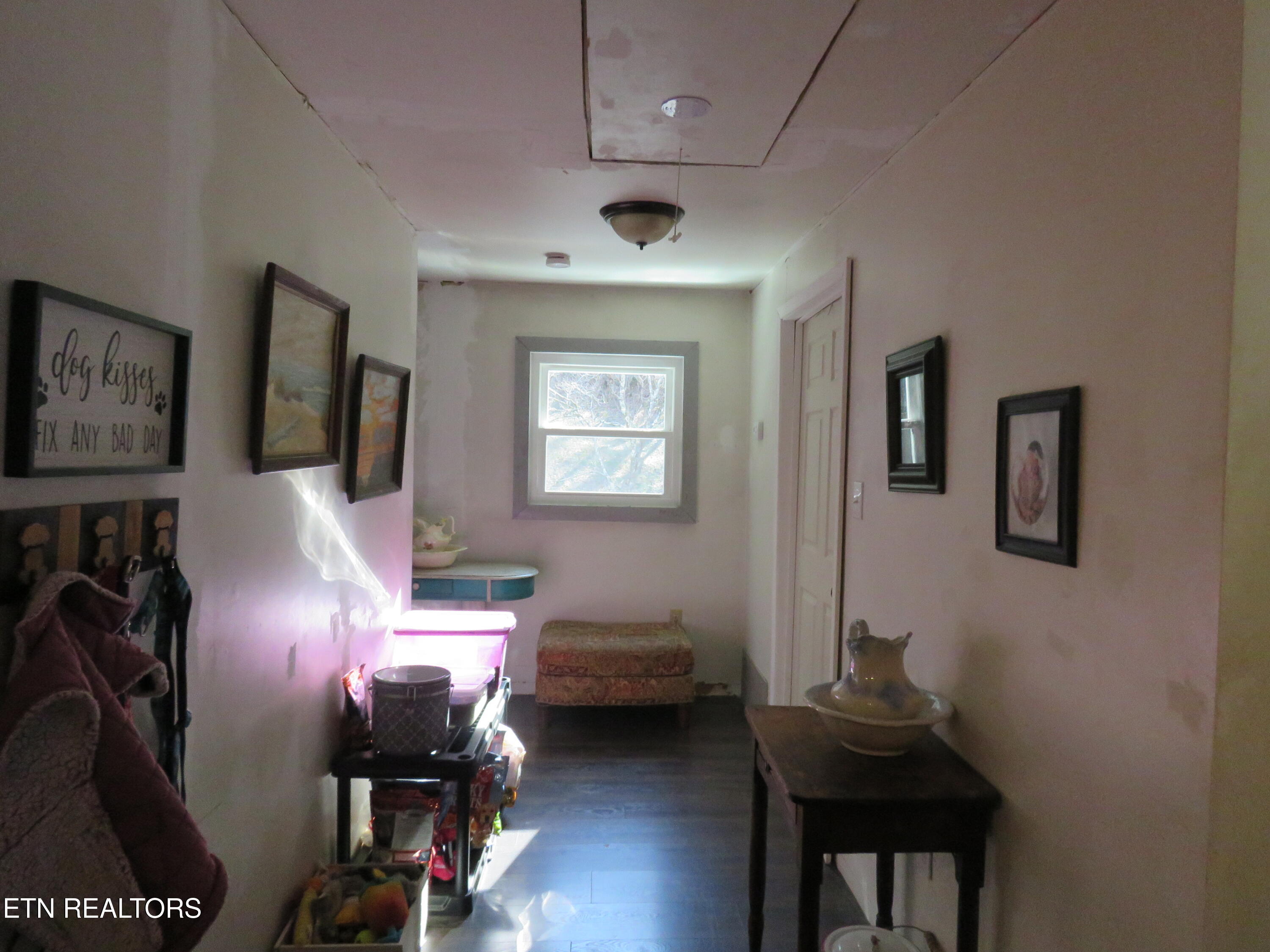 446 Lovers Lane Townsend, TN 37882 - Photo 18 of 36 IMG_0094