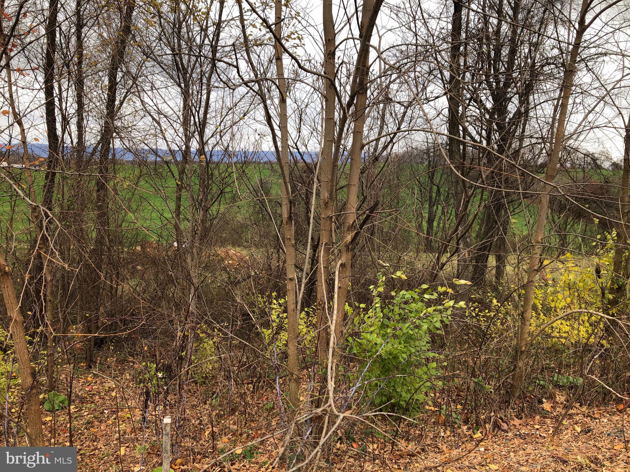Lot 14-4 Ruger Road Shippensburg, PA 17257 - Photo 4 of 9 Gallery Image 4