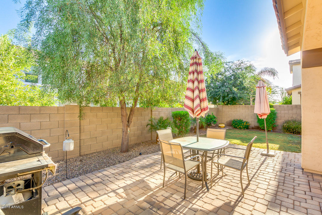 2955 East Shannon Street Gilbert, AZ 85295 - Photo 39 of 44 43-Shannon