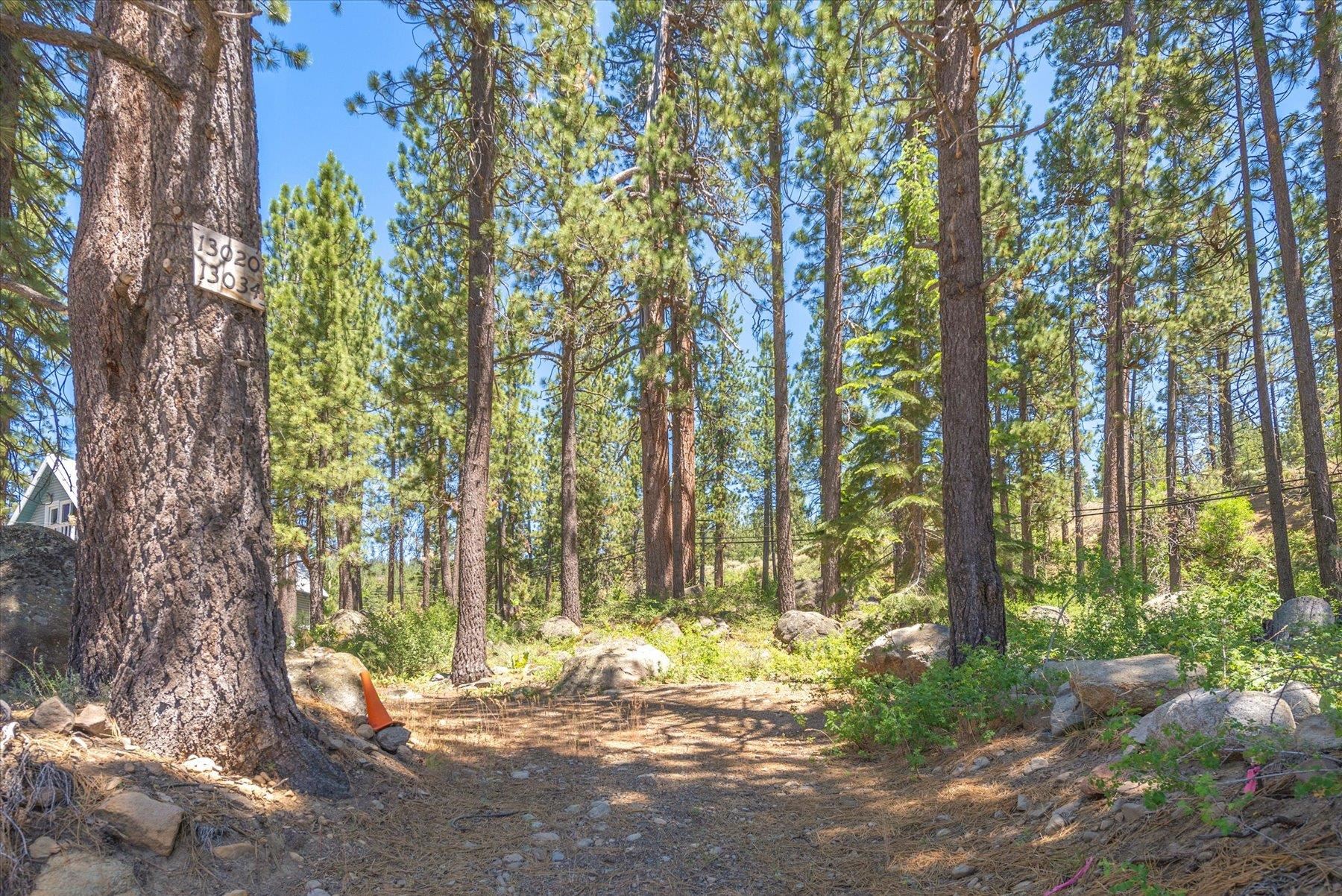 13020 Donner Pass Road Truckee, CA 96161 - Photo 5 of 18