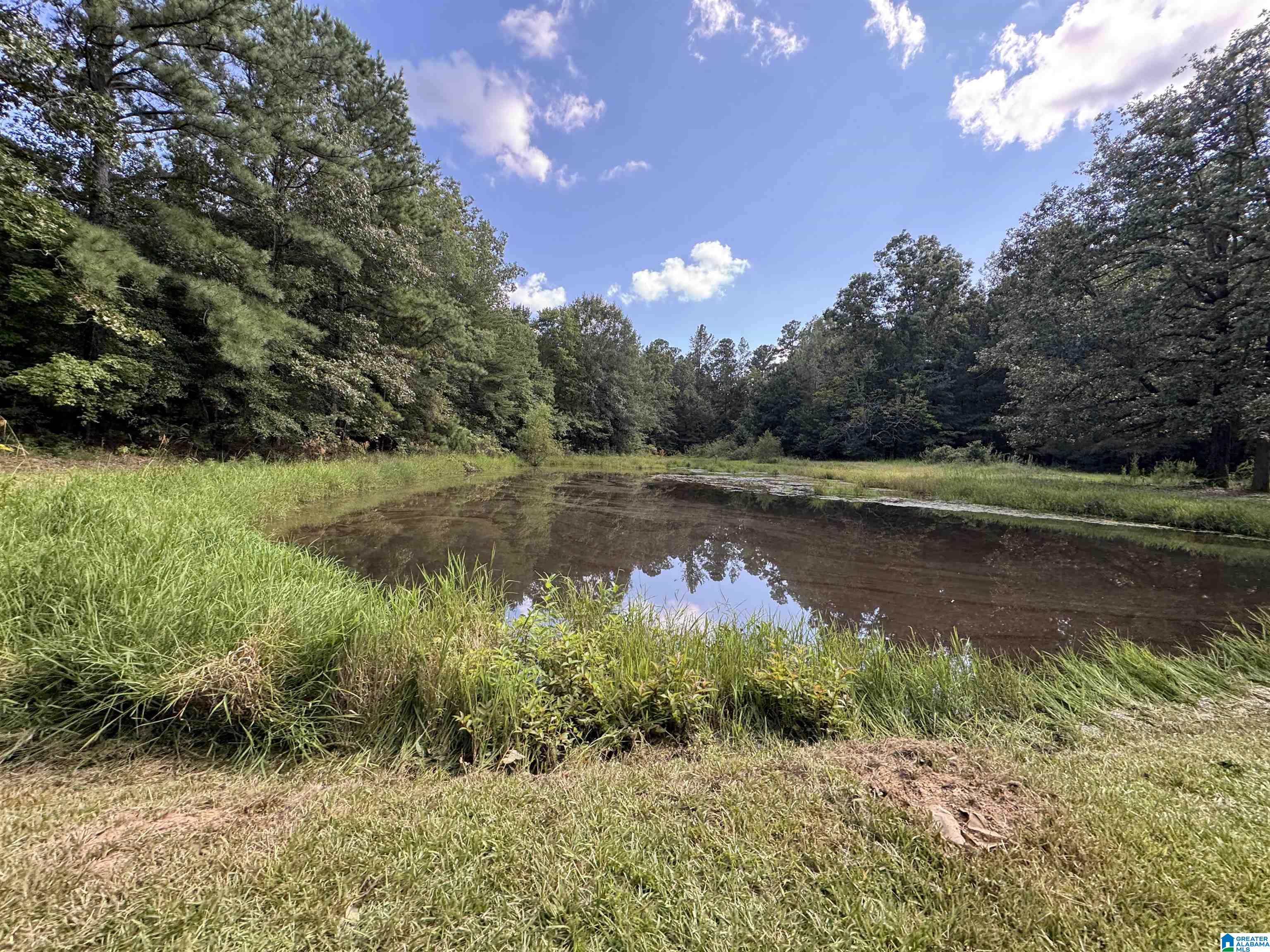 20394 County Road 55 Sterrett, AL 35147 - Photo 31 of 43