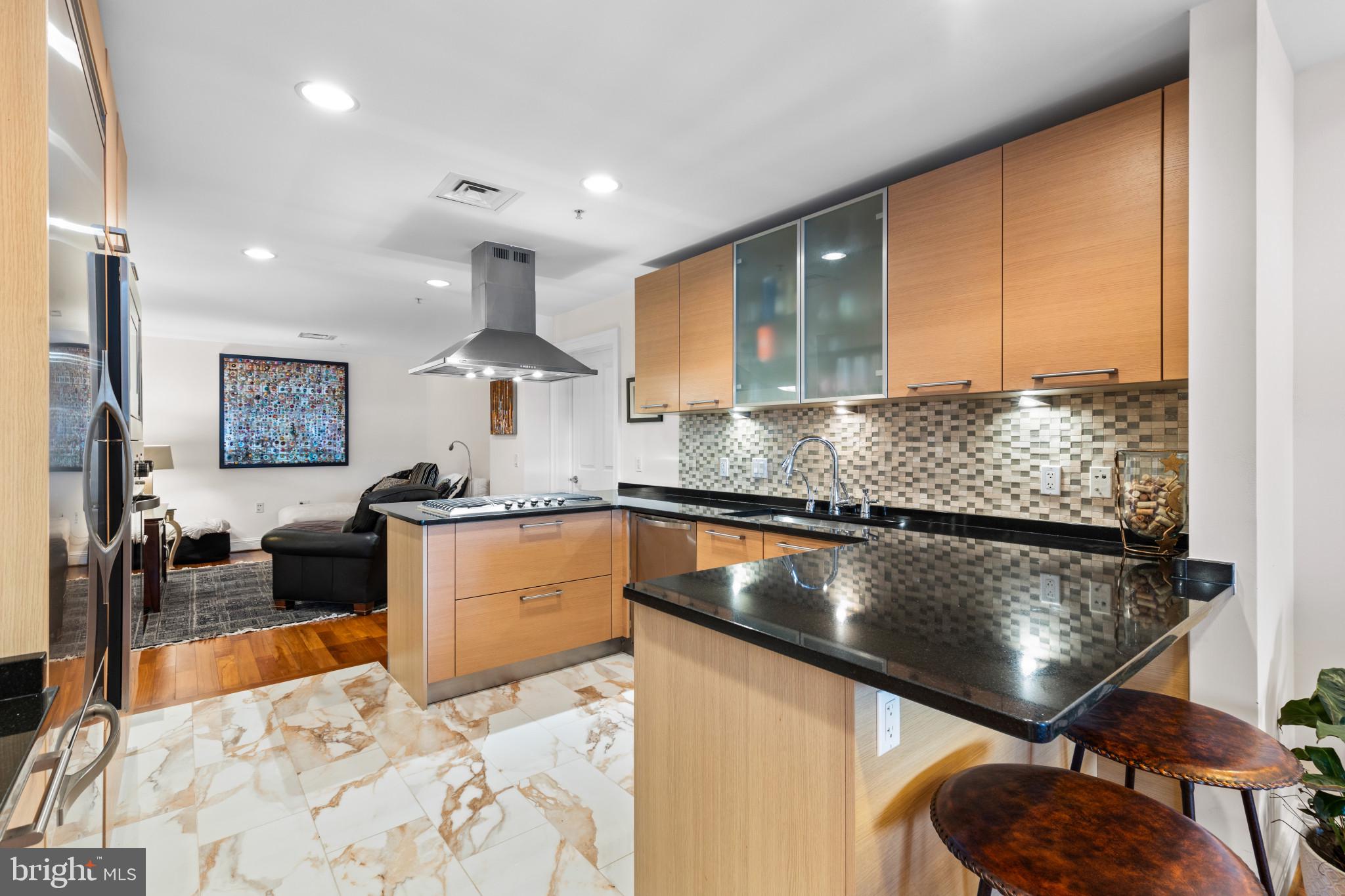 801 Key Highway, Unit 441 Baltimore, MD 21230 - Photo 11 of 51 Gourmet Kitchen with Viking Appliances