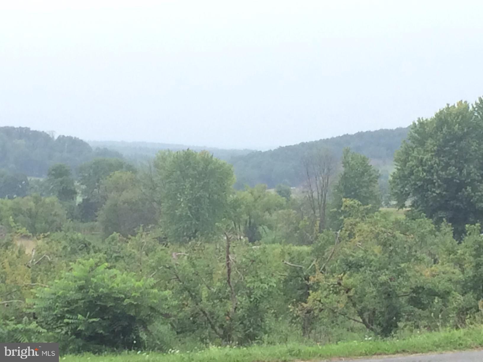 1680 Apple Pie Ridge Road Winchester, VA 22603 - Photo 3 of 22 View from front porch