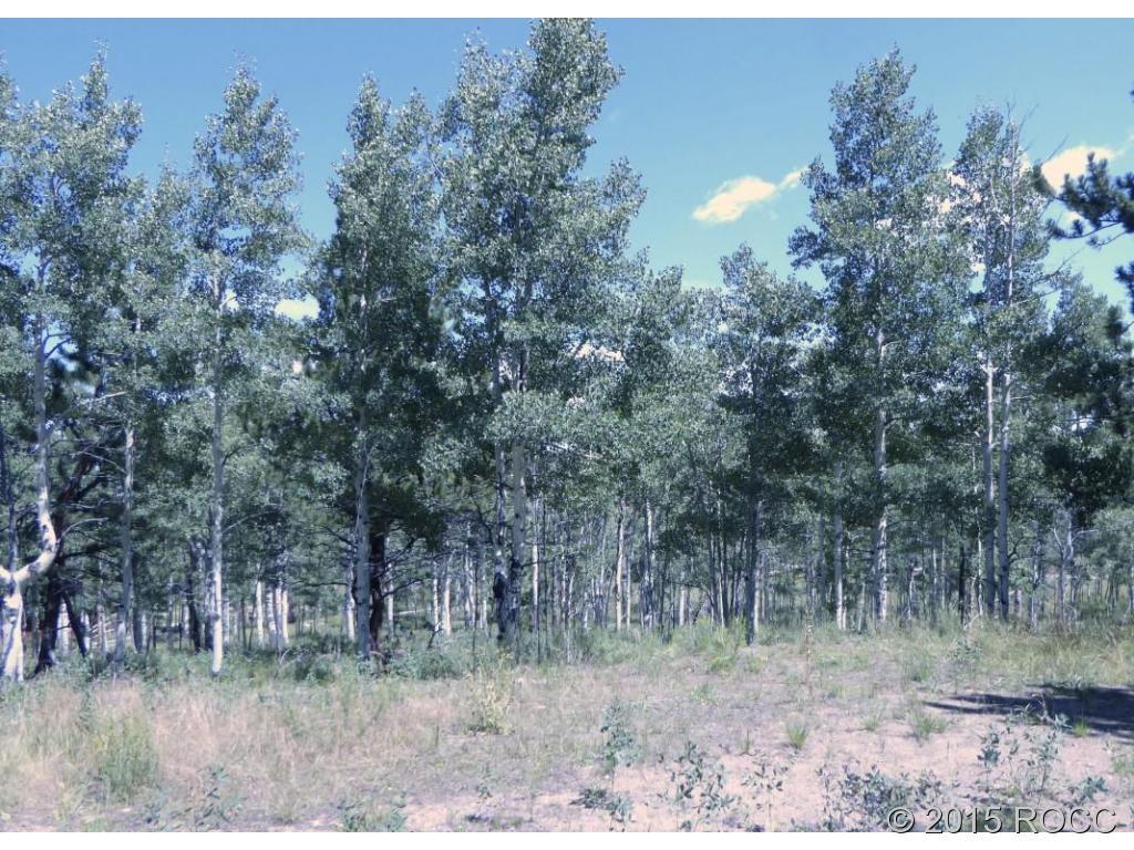 1711 Wagon Wheel Road Hartsel, CO 80449 - Photo 3 of 10 Gallery Image 3