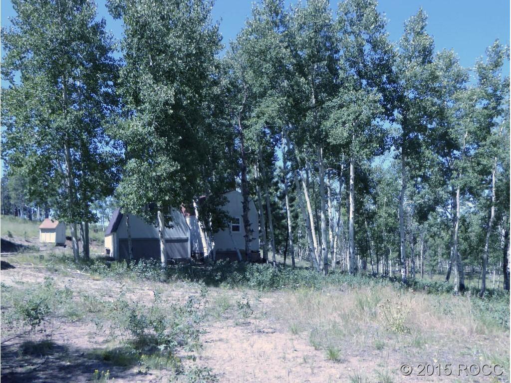 1711 Wagon Wheel Road Hartsel, CO 80449 - Photo 4 of 10 Gallery Image 4