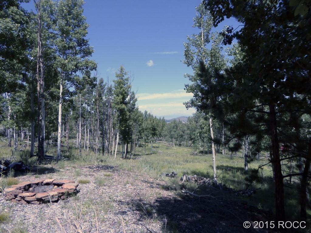 1711 Wagon Wheel Road Hartsel, CO 80449 - Photo 5 of 10 Gallery Image 5