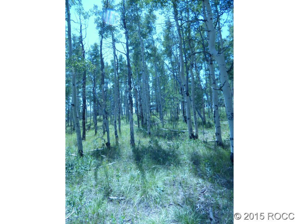 1711 Wagon Wheel Road Hartsel, CO 80449 - Photo 6 of 10 Gallery Image 6