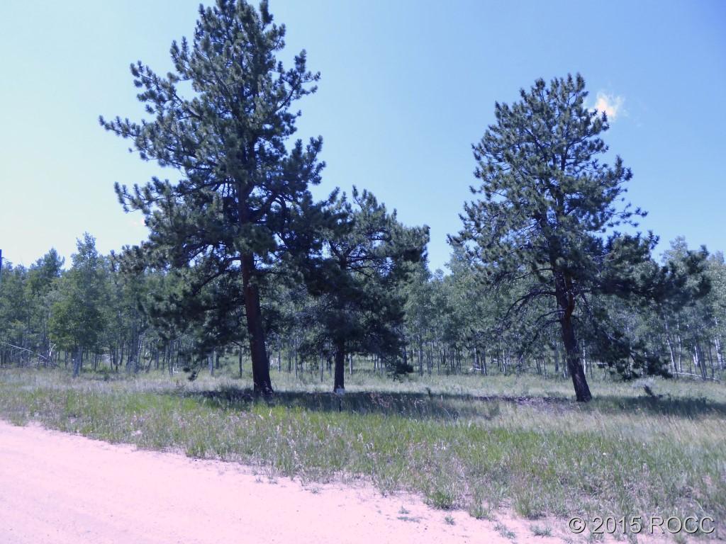 1711 Wagon Wheel Road Hartsel, CO 80449 - Photo 8 of 10 Gallery Image 8