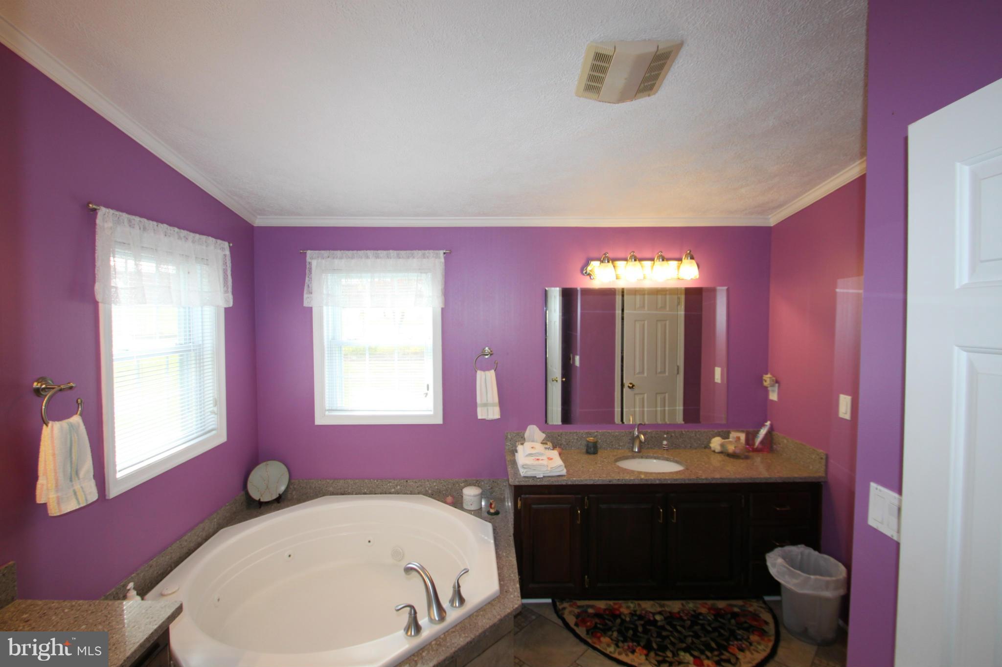 192 Sharp Rock Road Sperryville, VA 22740 - Photo 15 of 30 Bath (Master)