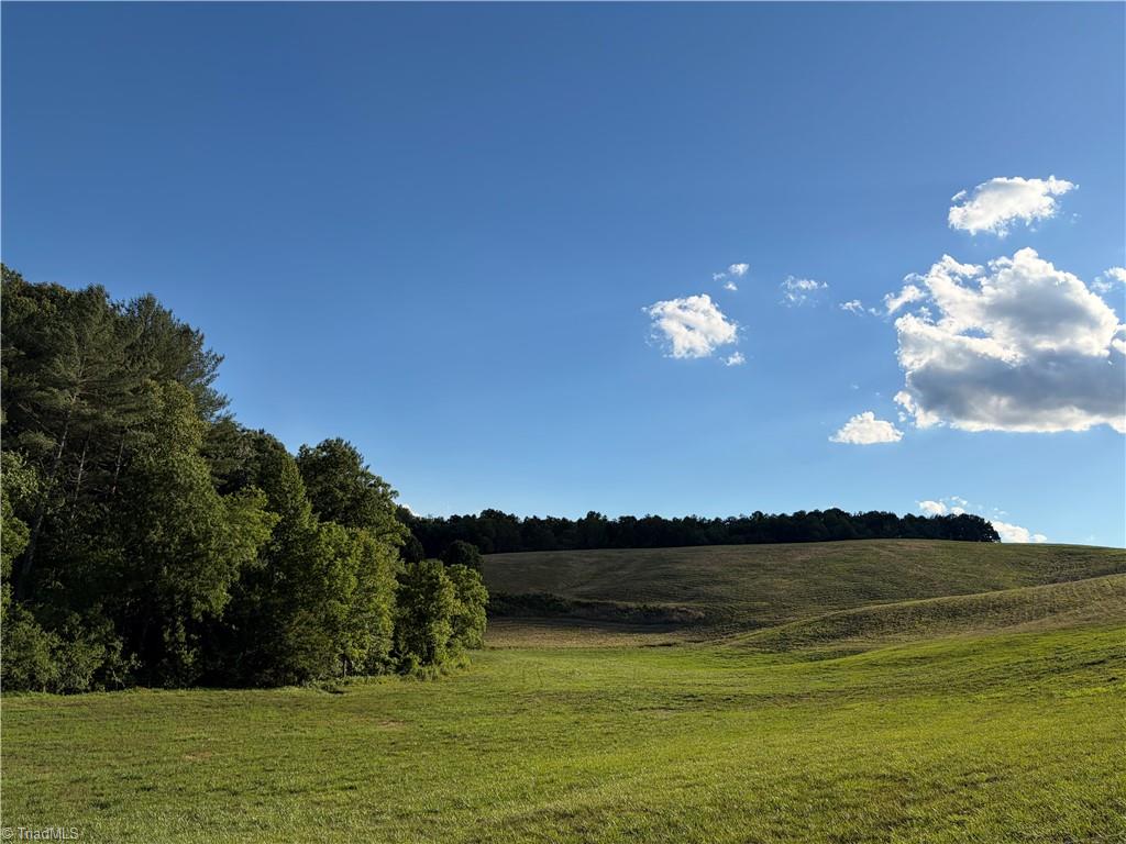 1779 Roundhill Church Road Traphill, NC 28685 - Photo 23 of 48 Gallery Image 23