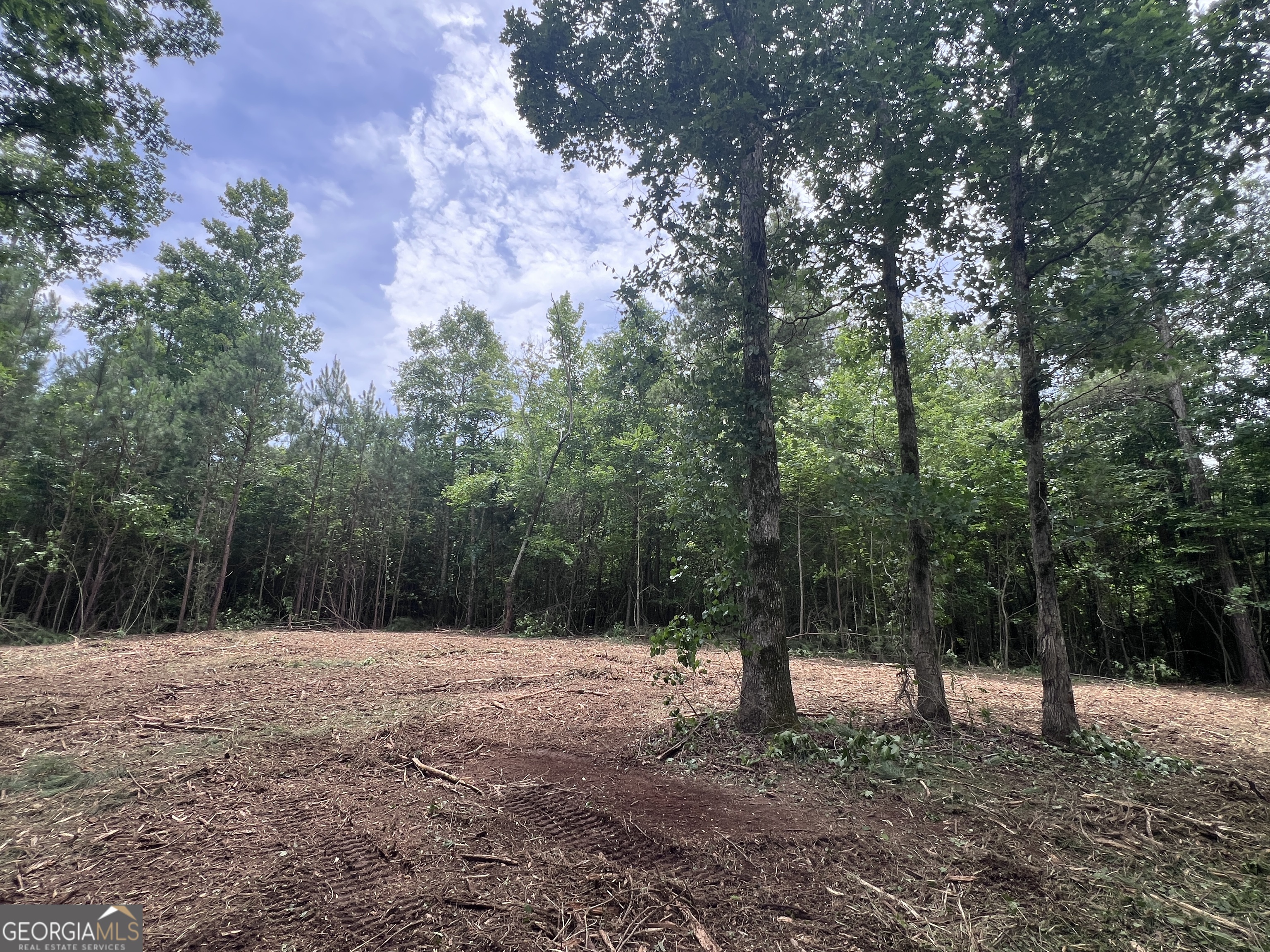0 Bethlehem Church Road Grantville, GA 30220 - Photo 3 of 22