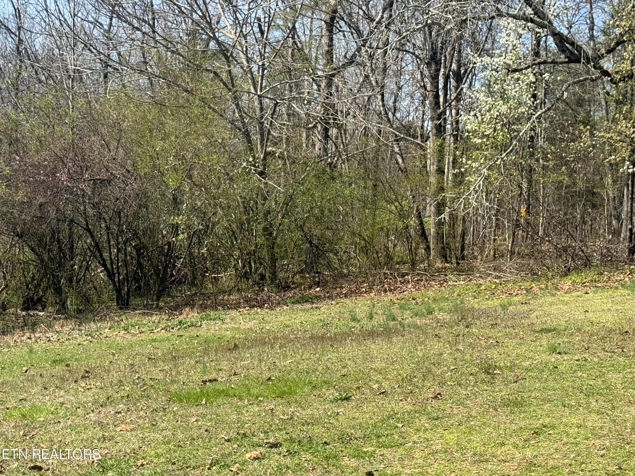 747 Forkner Chapel Road Sweetwater, TN 37874 - Photo 18 of 26 Gallery Image 18