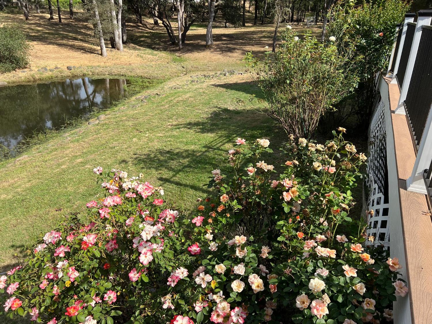 4294 Creekhaven Road Auburn, CA 95602 - Photo 72 of 73