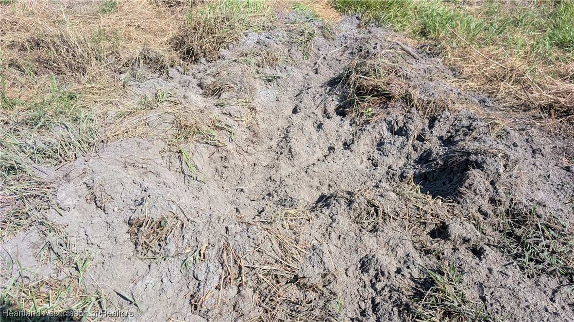 Klein Road Zolfo Springs, FL 33890 - Photo 17 of 25 Gallery Image 17