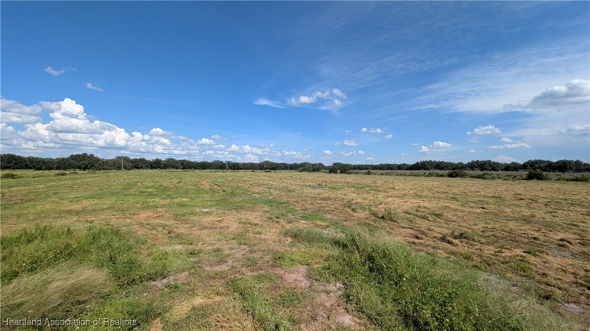 Klein Road Zolfo Springs, FL 33890 - Photo 19 of 25 Gallery Image 19